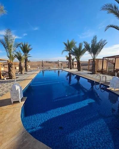Agafay Desert pool with palm trees and rocky desert views