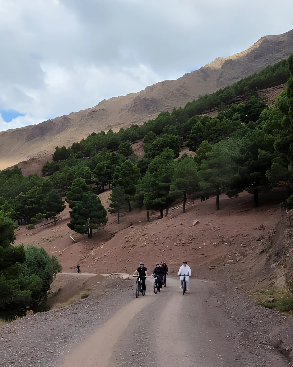 Private e-bike group stopping for panoramic Atlas Mountain views