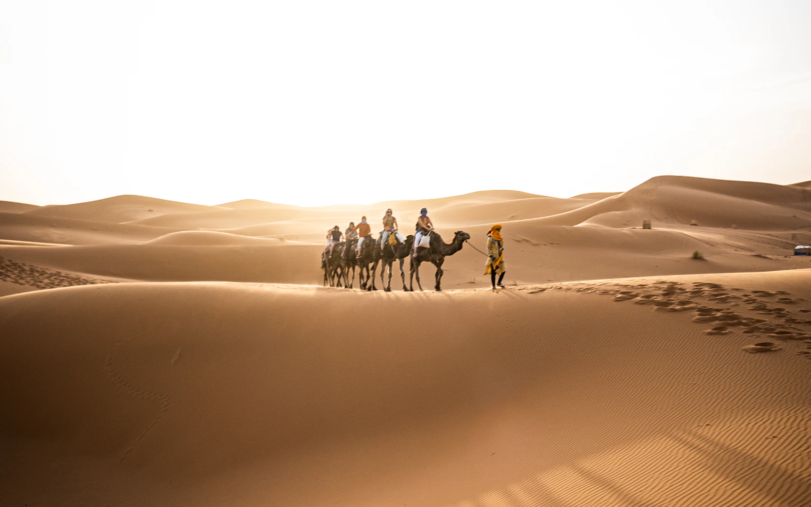 Photograph of camel travelers crossing Sahara dunes in Morocco