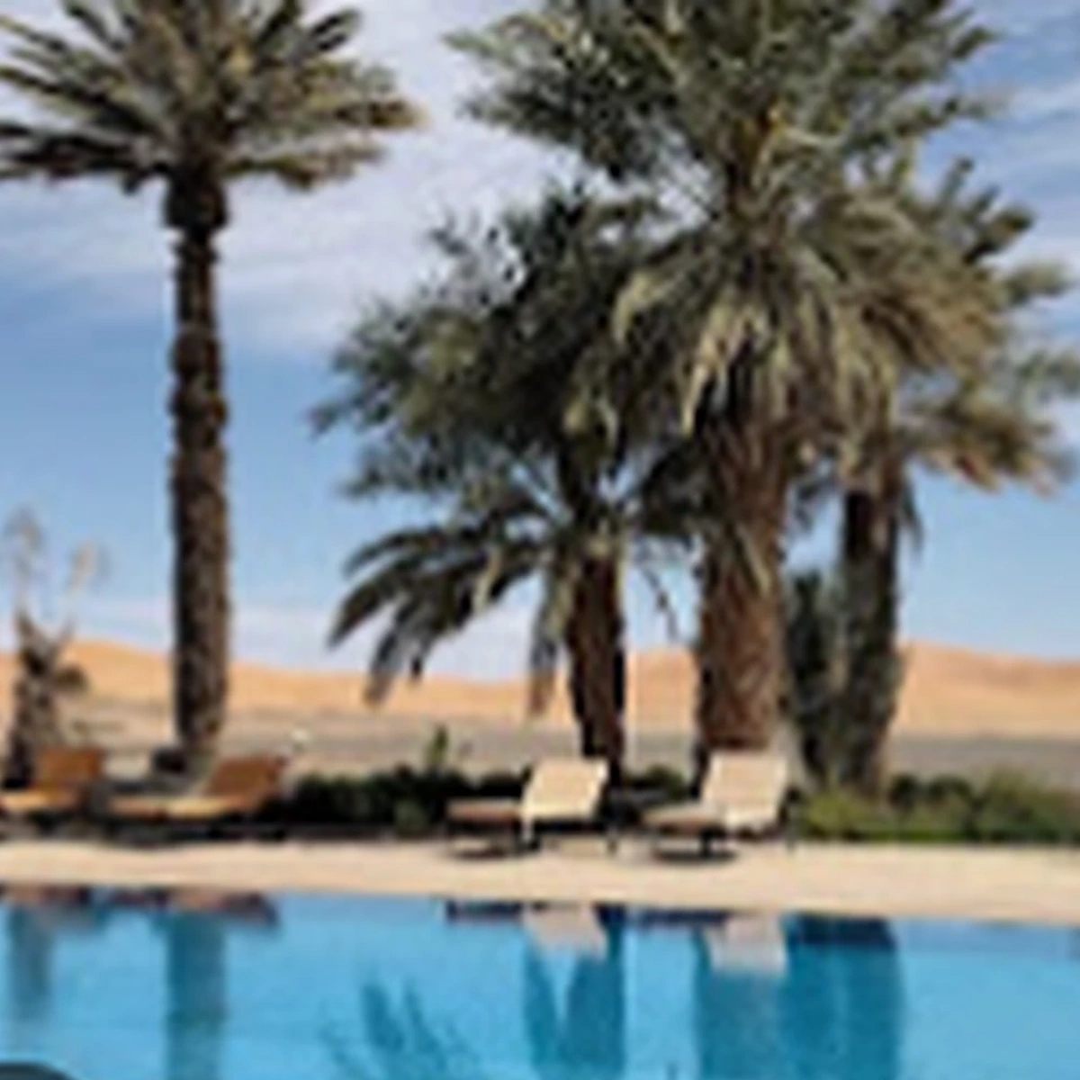 Curated desert hotel pool framed by palms