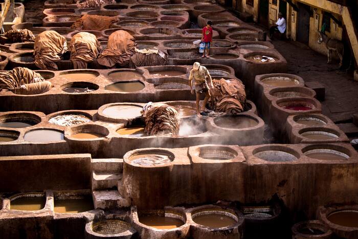 Fes medina tannery