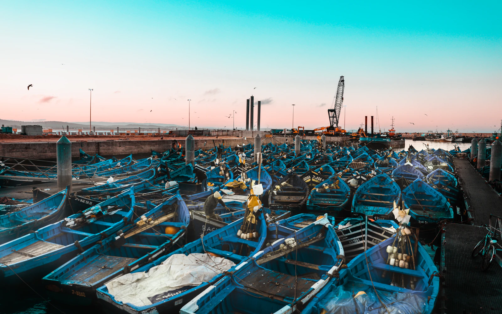 Atlantic coast escapes in Morocco